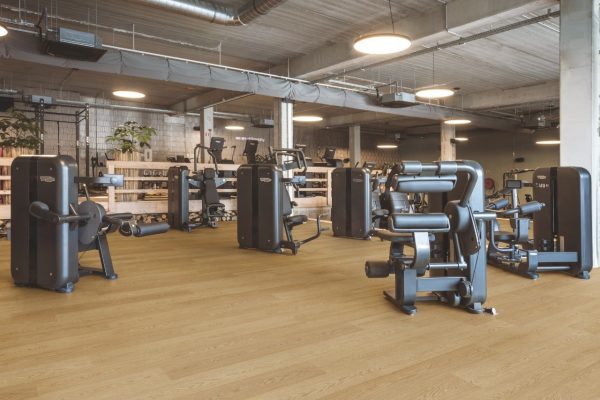 Alternative view of Sàn Gỗ Pergo Pro X 05191